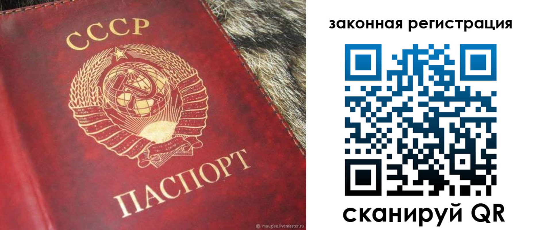 прописка от собственника в Коле